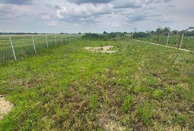 Teren Construcții intravilan de 2000 mp, în Săbăreni - 9