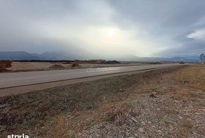 Teren de 9000 mp, în Est - 11