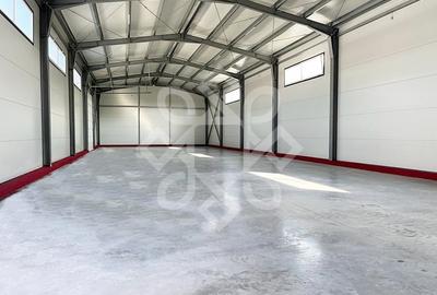 Spațiu industrial, de 400 mp, în Vest - 4