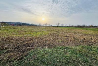 Teren intravilan de 7620 mp, în Diosig - 1
