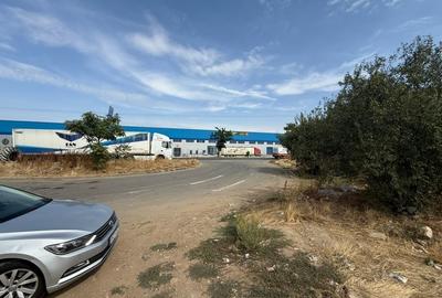 Teren Construcții intravilan de 5000 mp, în Sud - 5