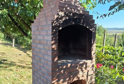 Casă cu 6 camere cu Teren 7200 Mp în Mihai Eminescu - 3