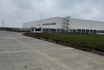 Teren Construcții intravilan de 10000 mp, în Șagului - 1