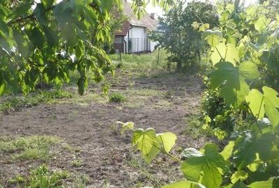 Casă individuală cu 4 camere cu Canalizare în Ronaț - 5