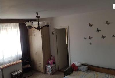 Apartament cu 2 camere nedecomandat în Iosefin - 2