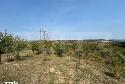 Teren de 5800 mp, în Central