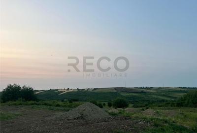 Teren de 903 mp, în Paleu - 12