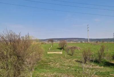 Teren în Pielești - 1