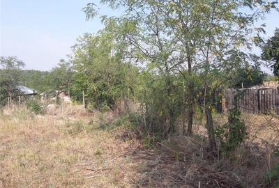 Teren de 3555 mp, în Smulți - 6