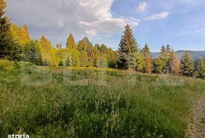 Teren de 1500 mp, în Central