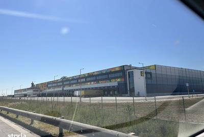 Teren de 5000 mp, în Cernica - 1