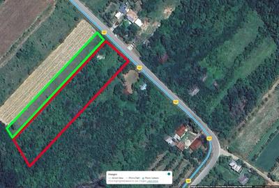 Teren Construcții intravilan de 6626 mp, în Cocu