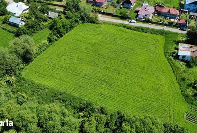 Teren de 2367 mp, în Ștefan cel Mare - 3
