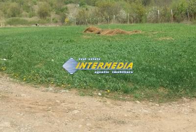 Teren Construcții intravilan de 500 mp, în Cetate - 1