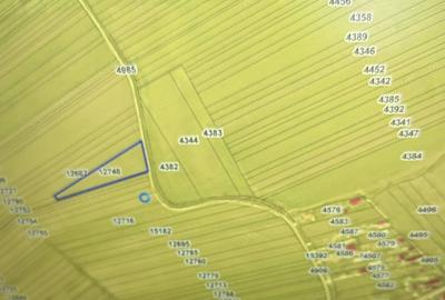Teren de 10900 mp, în Corbii Mari