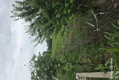 Teren de 3400 mp, în Copăceanca - 7