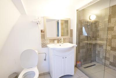 Apartament cu 4 camere decomandat în Mitropolie - 9