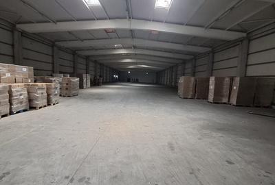 Spațiu comercial, de 5,300 mp, în Chiajna - 3