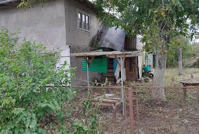 Casă cu Teren 800 Mp în Lunca Mureșului