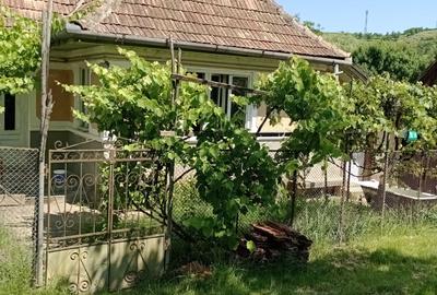 Casă cu 3 camere în Călărași - 2