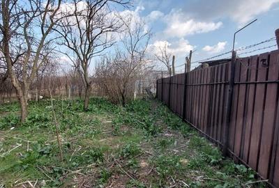 Teren de 1500 mp, în Livada - 1