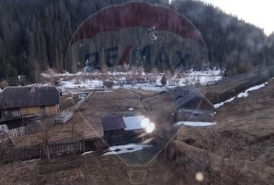Casă cu 7 camere cu Teren 6965 Mp în Drăgoiasa - 18