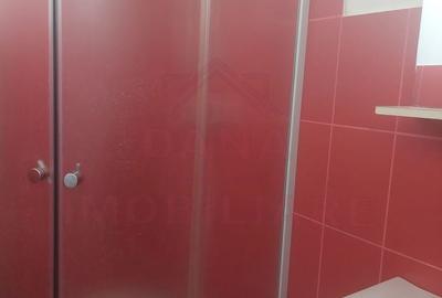 Casă individuală cu 4 camere cu Canalizare în Păltiniș - 13