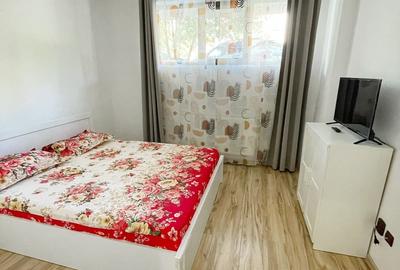Apartament cu 2 camere în Roșu