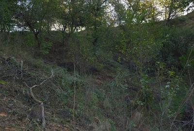 Casă cu 4 camere cu Teren 8000 Mp în Pruni