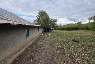 Casă cu 3 camere cu Teren 3000 Mp în Deleni - 7
