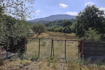 Teren de 10000 mp, în Iscroni