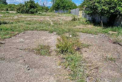 Spațiu industrial, de 13,000 mp, în Vest - 4