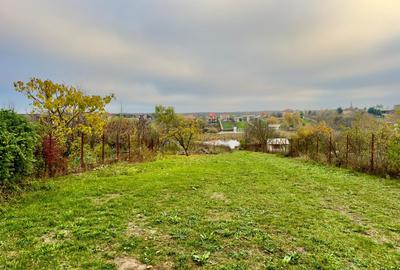 Teren Construcții intravilan de 2306 mp, în Tâncăbești - 2
