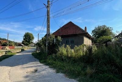 Teren Construcții intravilan de 1100 mp, în Albeștii Ungureni - 5