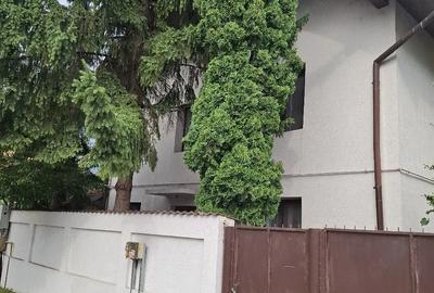 Casă cu 3 camere cu Teren 50 Mp în Sub Arini - 3