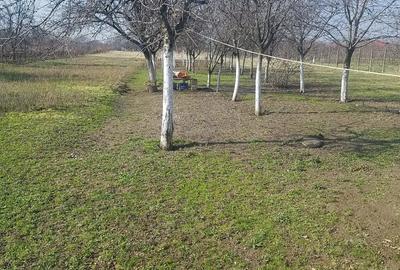 Casă cu Teren 35 Mp în Central