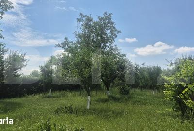 Teren de 5488 mp, în Păulești - 12