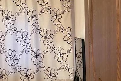Apartament cu 2 camere decomandat în Rovine