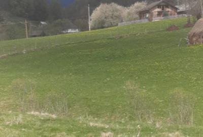 Spațiu comercial, în Dâmbovicioara