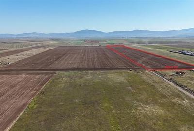Teren agricol extravilan de 92700 mp, în Tărlungeni - 1