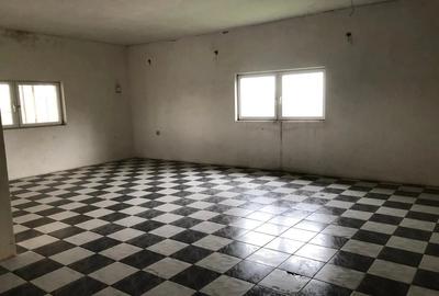 Casă cu 6 camere cu Teren 2877 Mp în Teremia Mare - 4
