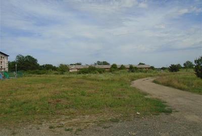Teren Construcții intravilan de 15000 mp, în Micălaca - 3