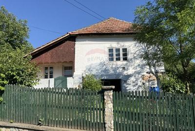 Casă individuală cu 4 camere cu Teren 3765 Mp în Mihăești - 29