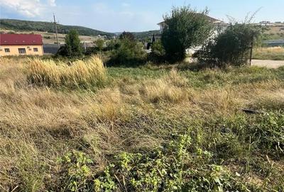 Teren de 1143 mp, în Sânmartin - 12