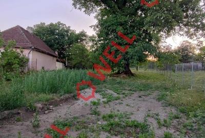 Spațiu comercial, în Calnic