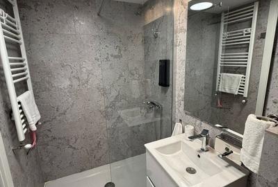 Apartament cu 2 camere semidecomandat în Doamna Ghica - 3