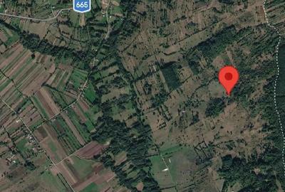 Teren de 5986 mp, în Polovragi