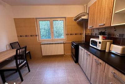 Apartament cu 2 camere în Rahova - 11