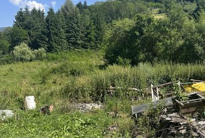 Casă cu 4 camere în Dragoslavele - 8