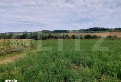 Teren de 27500 mp, în Iclod